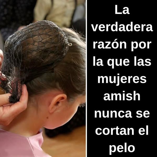 32+ Datos poco sabidos sobre los Amish