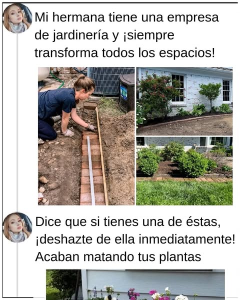 Reformas de exteriores que hacen brillar cualquier patio trasero