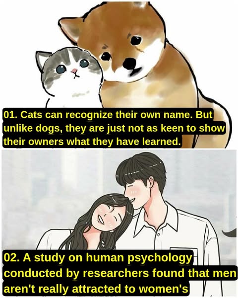 Psychological Facts That Help Us Understand Our Loved Ones