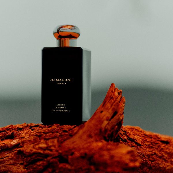 A Captivating Cologne Intense