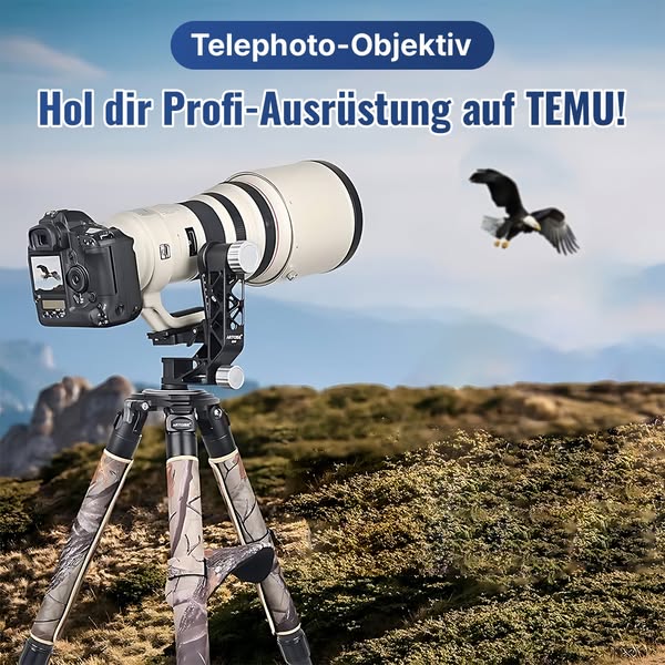 Temu | Explore the Latest Clothing, Beauty, Home, Jewelry & More