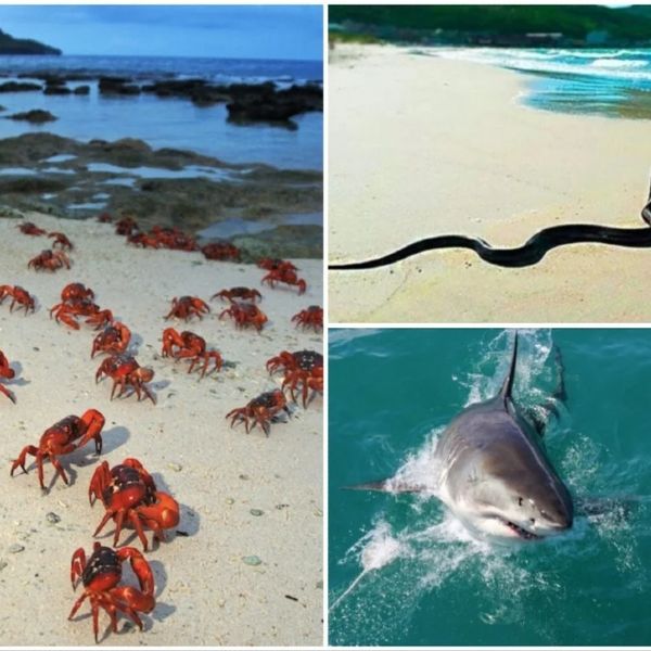 Beware of the danger that lurks beneath the surface of many of our favorite destinations - take a look