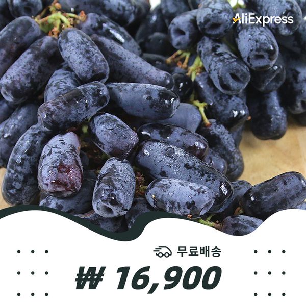 무료배송