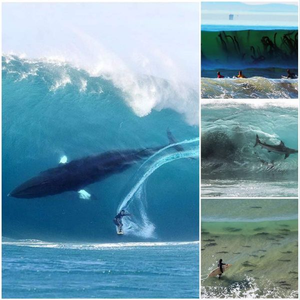 Beware of the danger that lurks beneath the surface of many of our favorite destinations - take a look