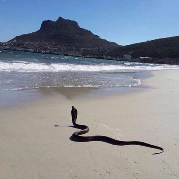 19+ Dangerous Beaches Around The World Making Many Rebook Their Vacation