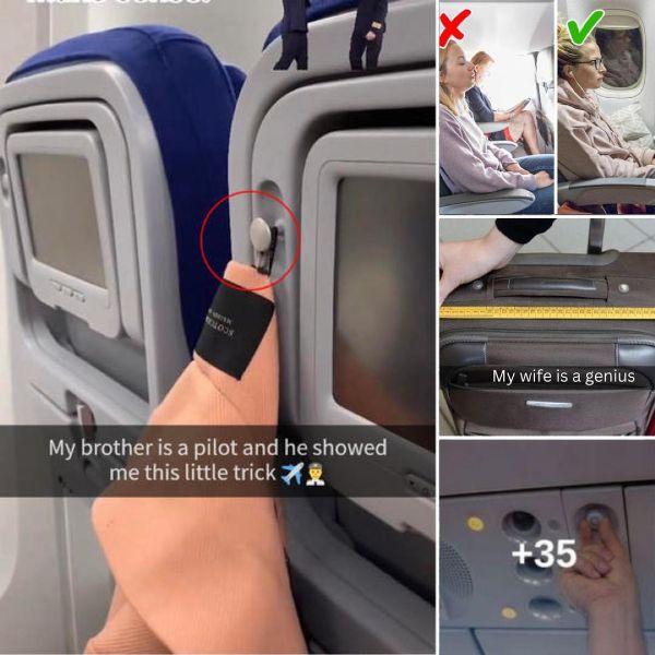 Airplane facts you need to know to make flying a better experience
